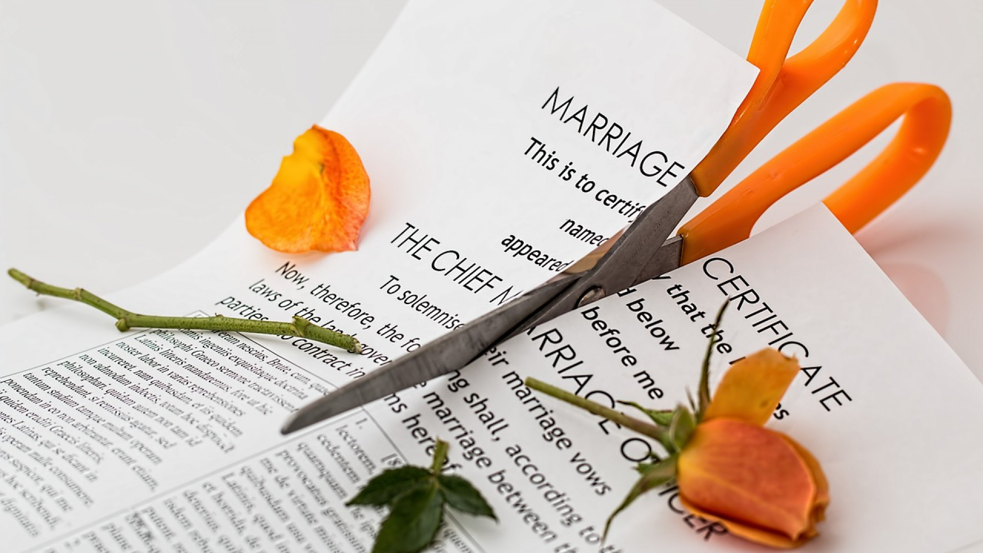 Découvrez les formalités à faire après un divorce