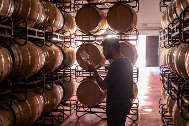 Investir dans le vin : les démarches à suivre pour se lancer