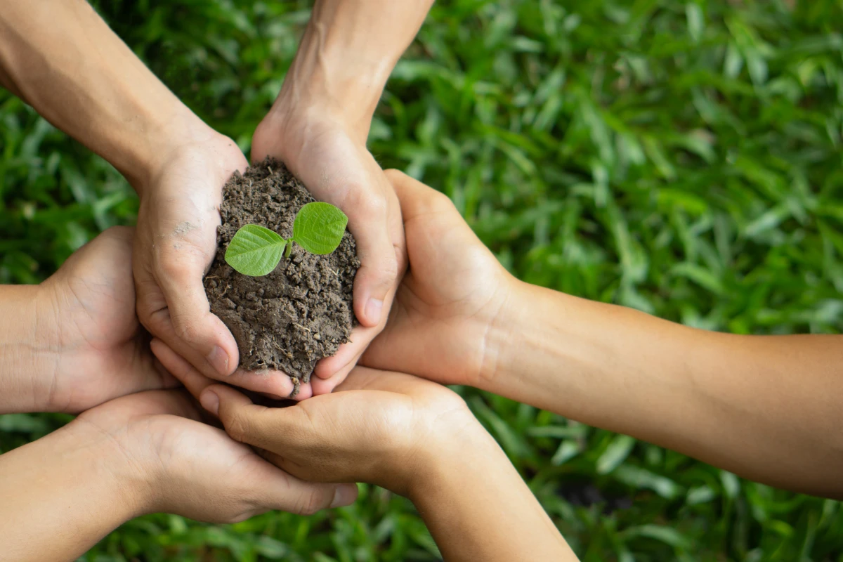 Le rôle crucial du droit international dans la protection de l'environnement